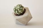 Small vase in concrete. By Ducka.